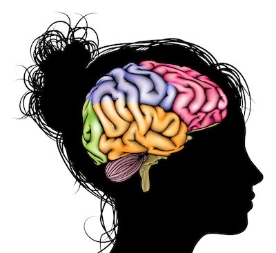 Woman Brain Concept