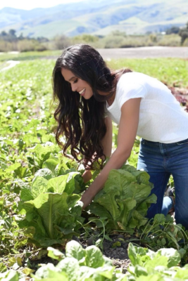 Kimberly Snyder harvesting organically grown produce