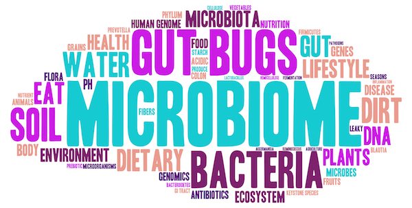 Microbiome word cloud on a white background.