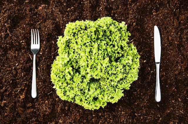 Healthy food conceptual image for horizontal background. Lettuce or cabbage lying on the soil surface. Modern eating habbits symbol. Photo from above, top view.