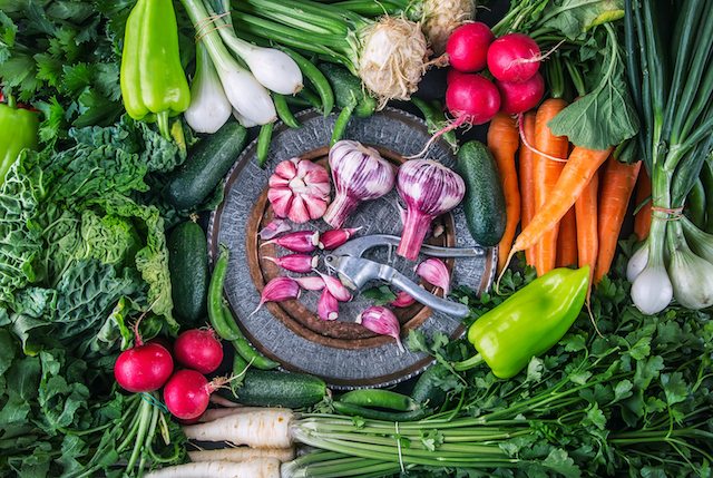 Vegetables. Fresh vegetables. Colorful vegetables background. Healthy vegetable studio photo. Assortment of fresh vegetables close up.