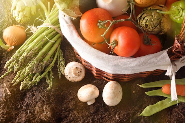 Vegetables In Basket On Soil With Crop Landscape Background Top