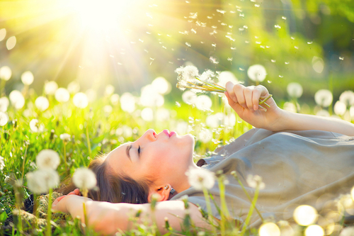 Beautiful Young Woman lying on the field in green grass and blowing dandelion. Outdoors. Enjoy Natur