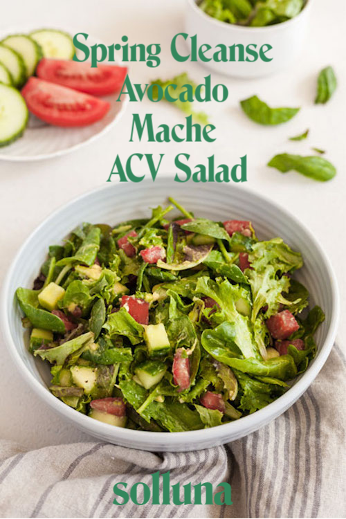 Spring Cleanse Avocado Mache ACV Salad