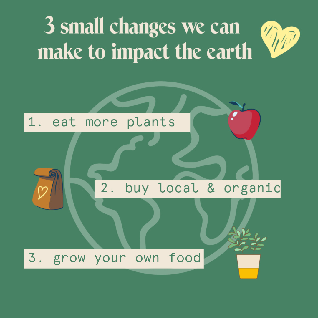 3 Tips for Improving our Earth on Earth Day
