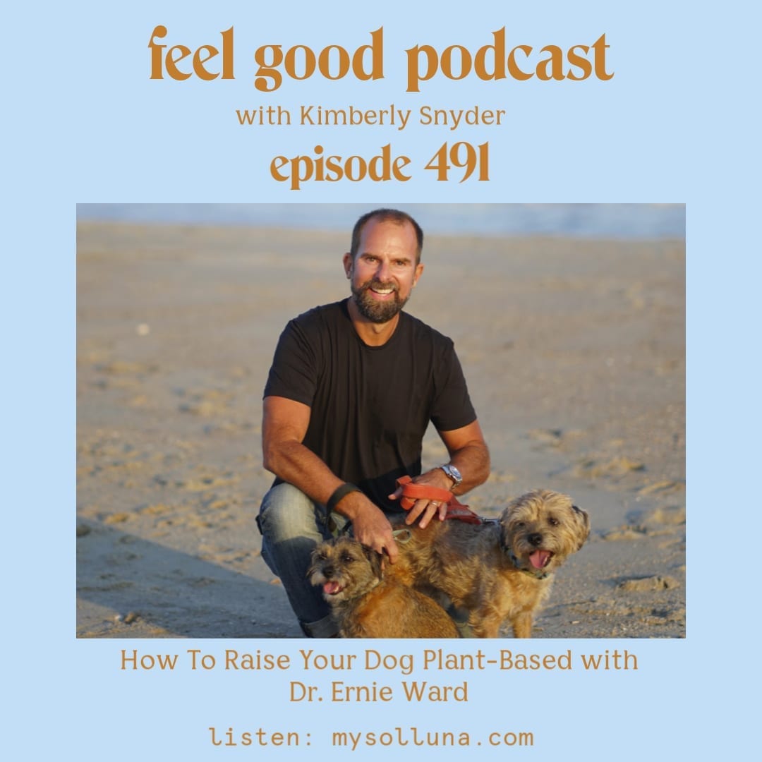 Dr. Ernie Ward [Podcast #491] Blog Graphic for Feel Good Podcast with Kimberly Snyder.