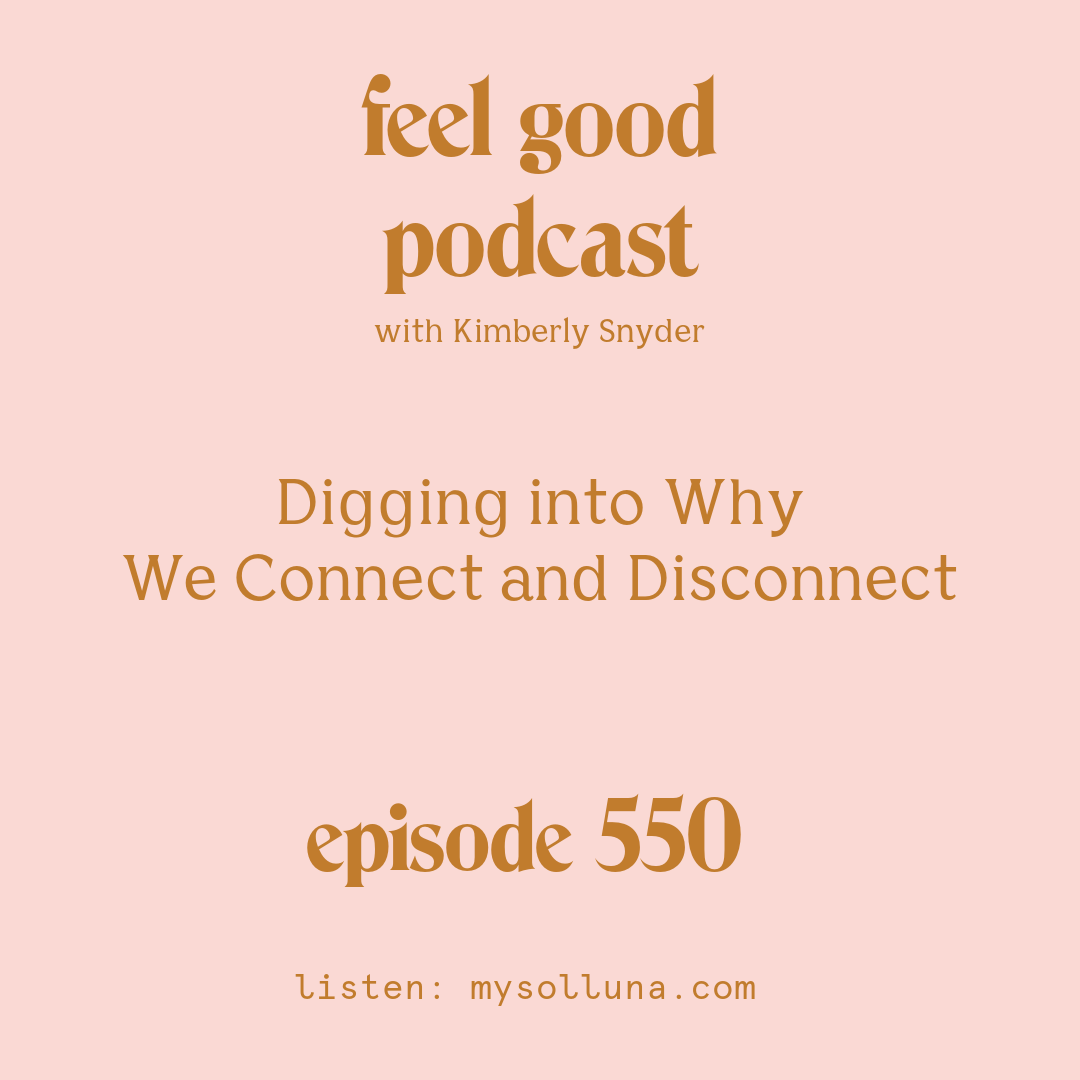 [Podcast #550] Blog Graphic for Digging into Why We Connect and Disconnect with Kimberly Snyder