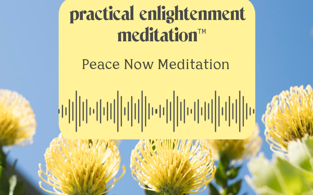Peace Now Meditation Graphic