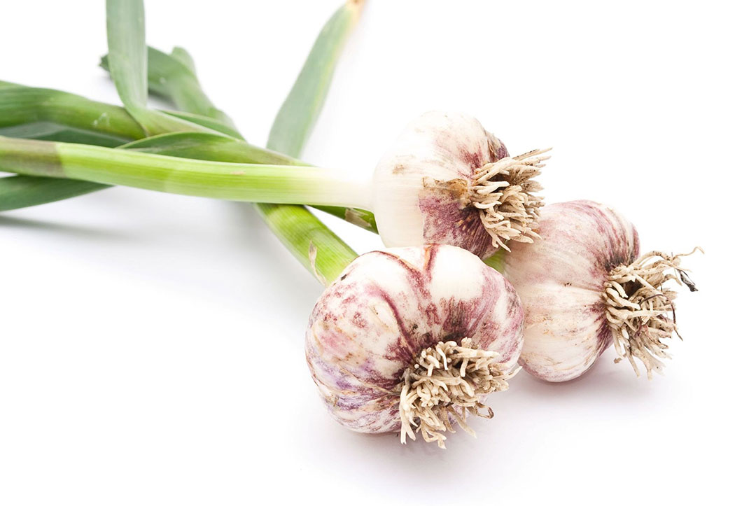 Food to avoid while breastfeeding, garlic
