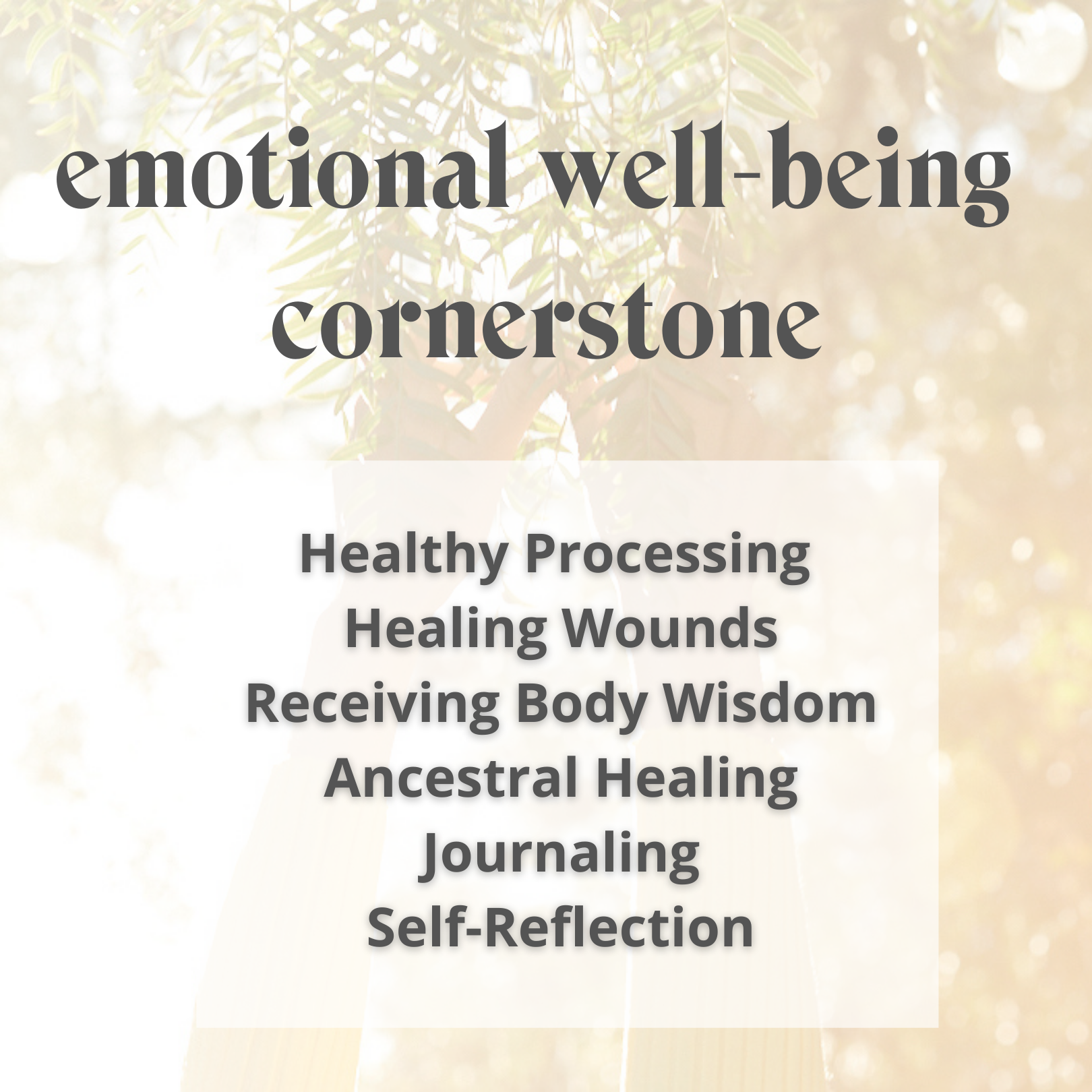 Solluna by Kimberly Snyder Emotional Well-Being Cornerstone