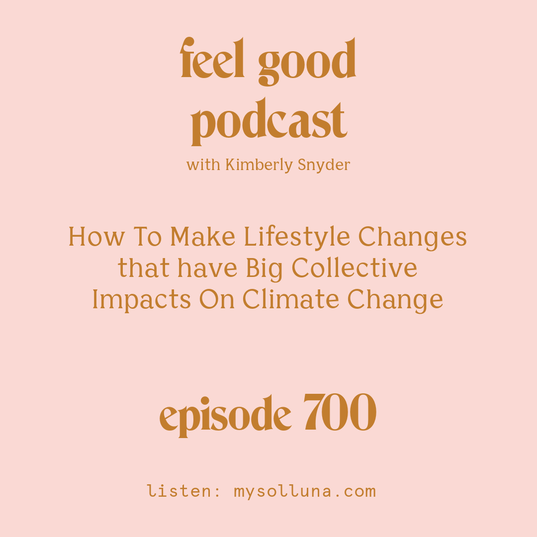 How To Make Lifestyle Changes that have Big Collective Impacts On Climate Change [Episode #700]