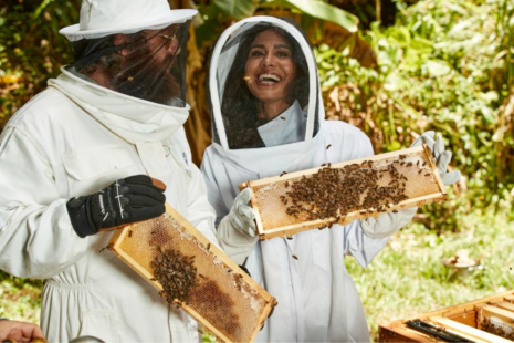 Kimberly Snyder and her husband beekeeping
