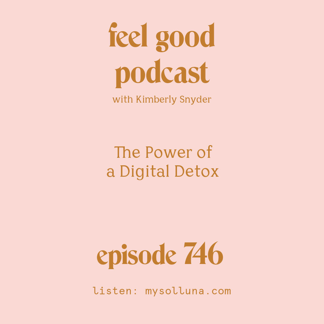 [Episode #746] Blog Graphic for The Power of a Digital Detox with Kimberly Snyder.