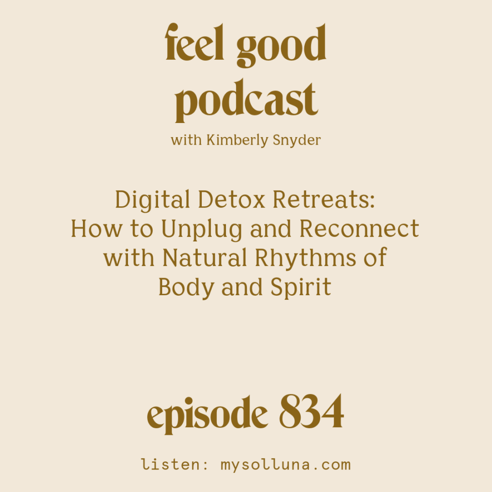Digital Detox Retreats How to Unplug and Reconnect with Natural