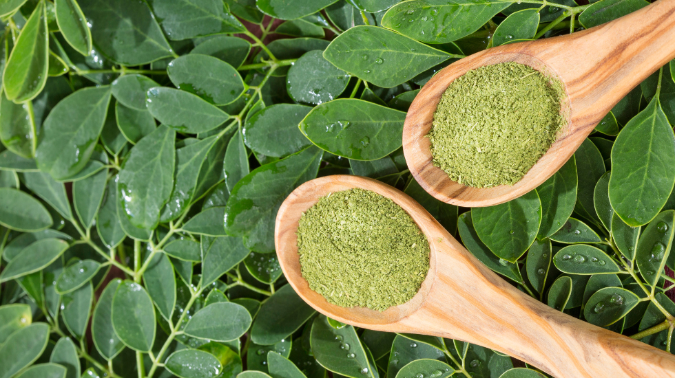 Moringa Leaves