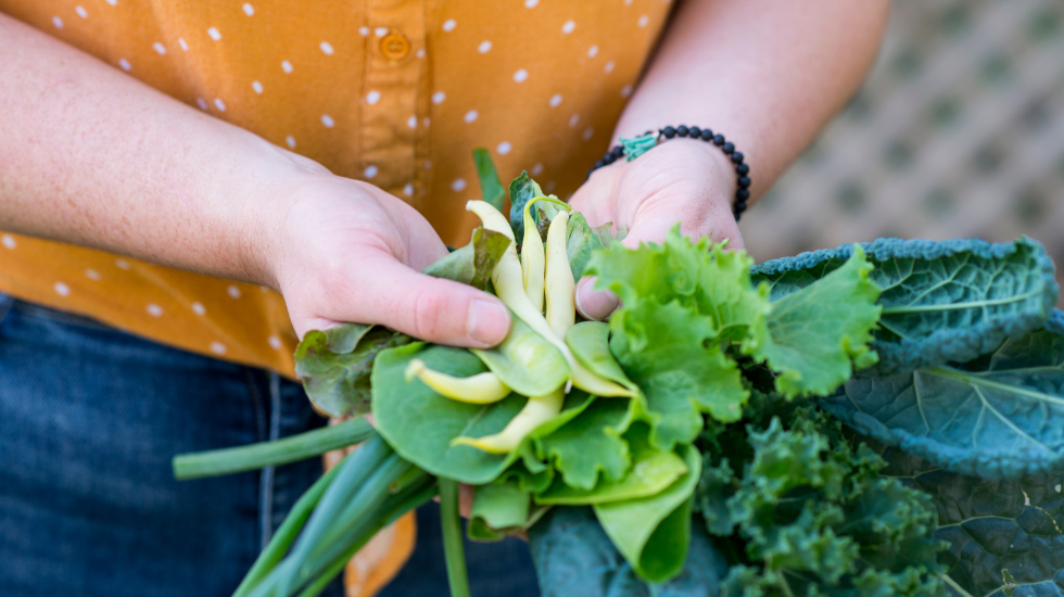 Leafy Greens and Diversity